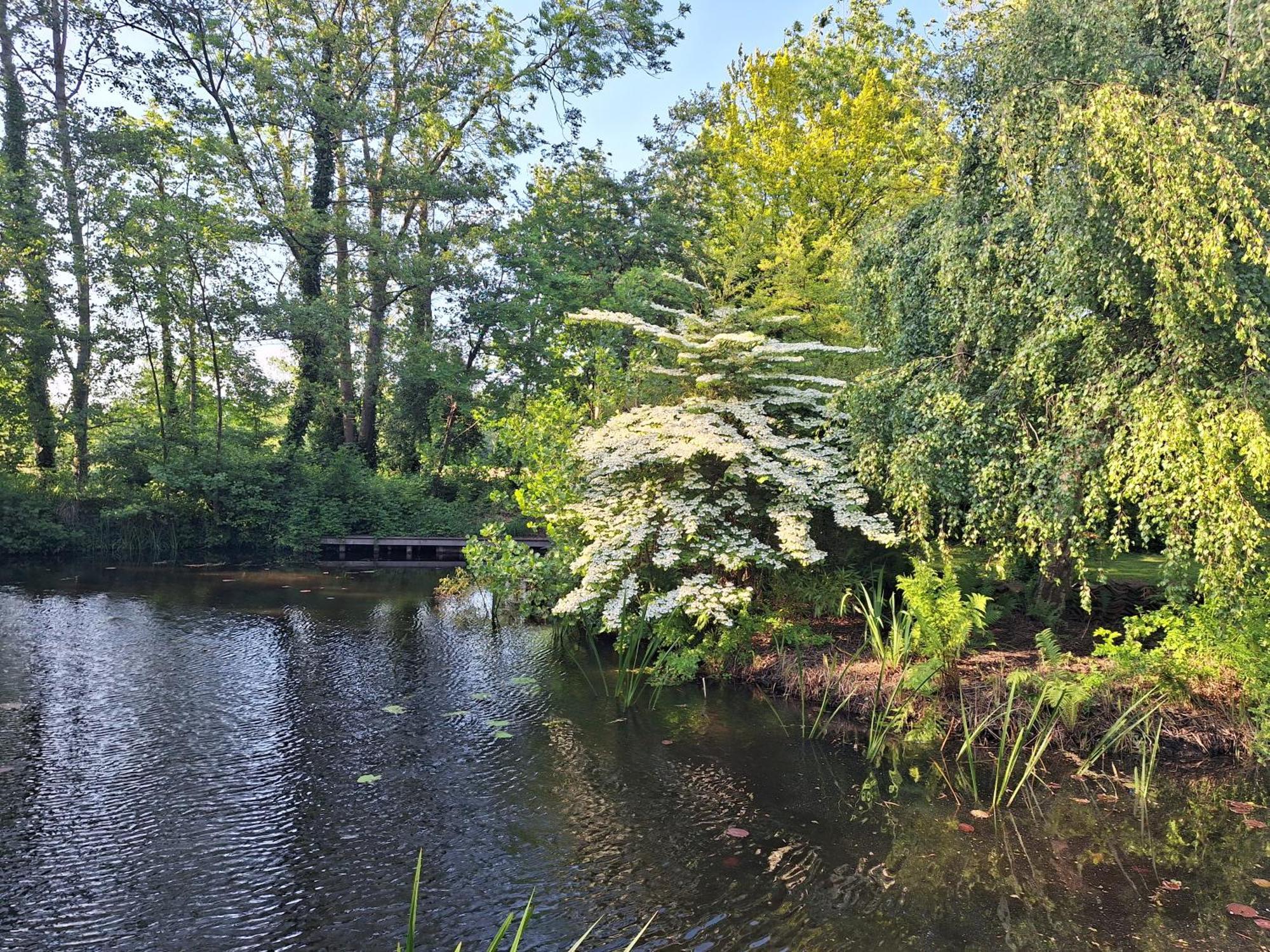 De Consistorie Villa Giethoorn Buitenkant foto