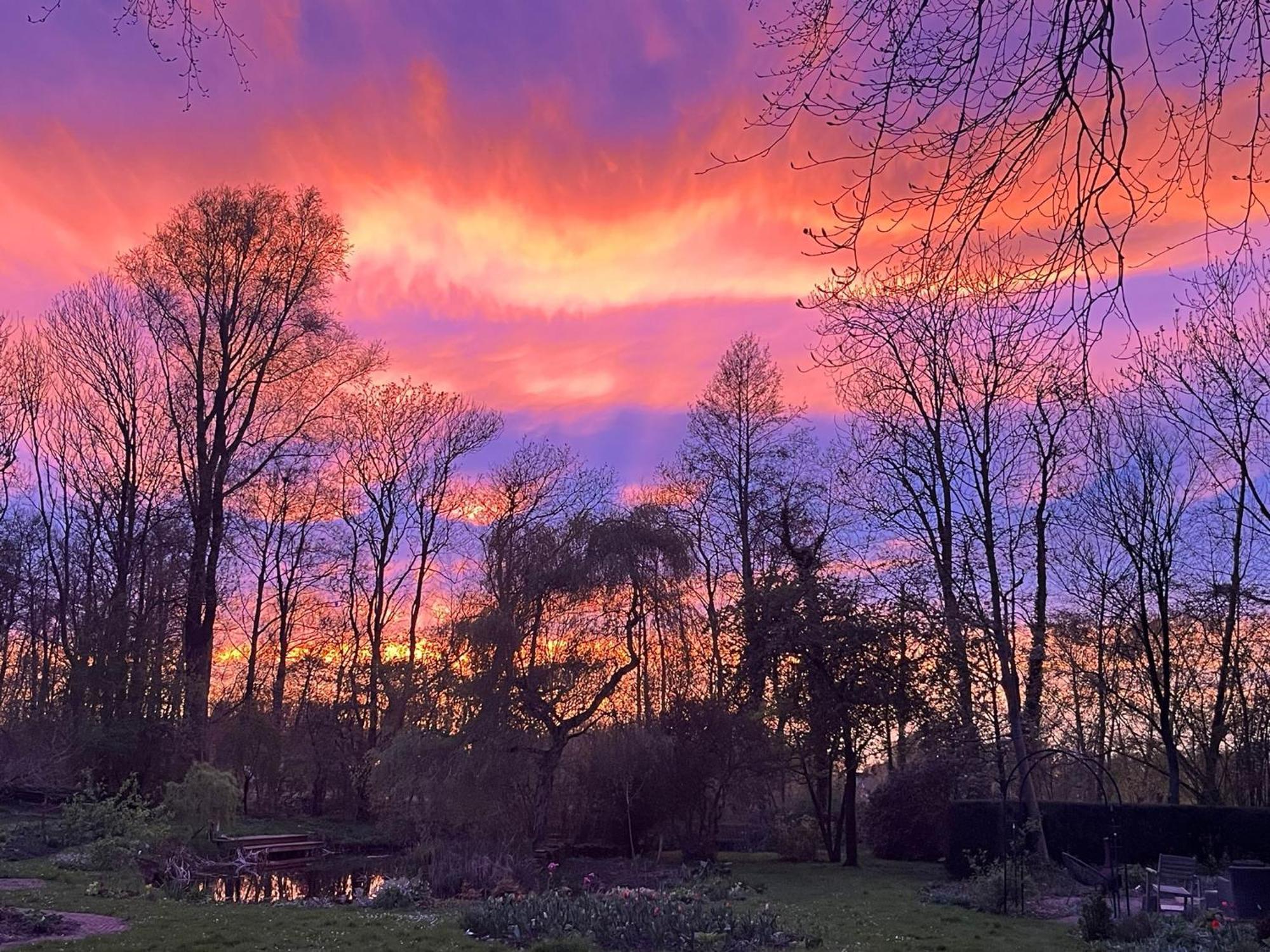 De Consistorie Villa Giethoorn Buitenkant foto